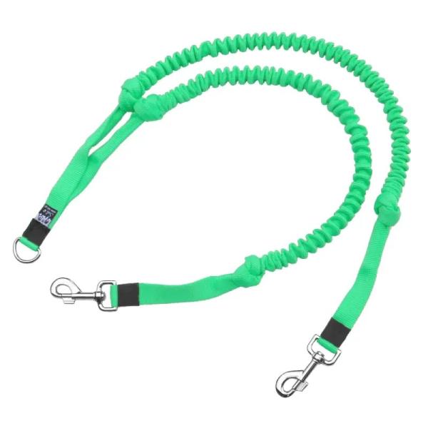 Doppelleine Hunde_Koppel_minze